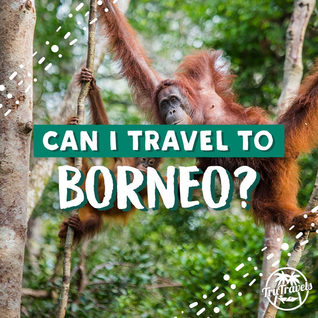 Can I travel to Borneo? TruNews